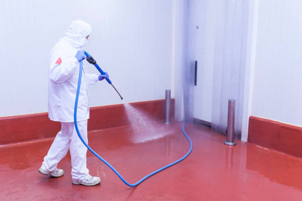 Best Driveway Cleaning and Restoration in Hokendauqua, PA